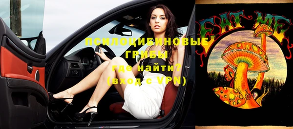 СК Верхний Тагил